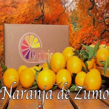 Naranja Zumo 10 Kg